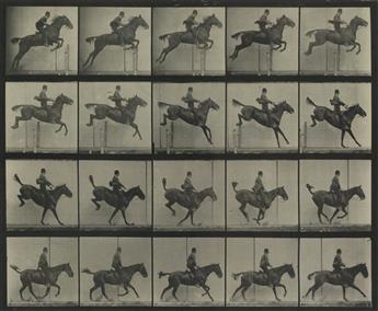 EADWEARD MUYBRIDGE (1830-1904) Horse clearing a hurdle, plate 637 * Pelican landing, plate 775 * Ostrich running, plate 772, from Anima